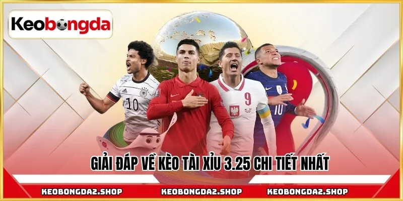 Giải đáp về kèo tài xỉu 3.25 chi tiết nhất
