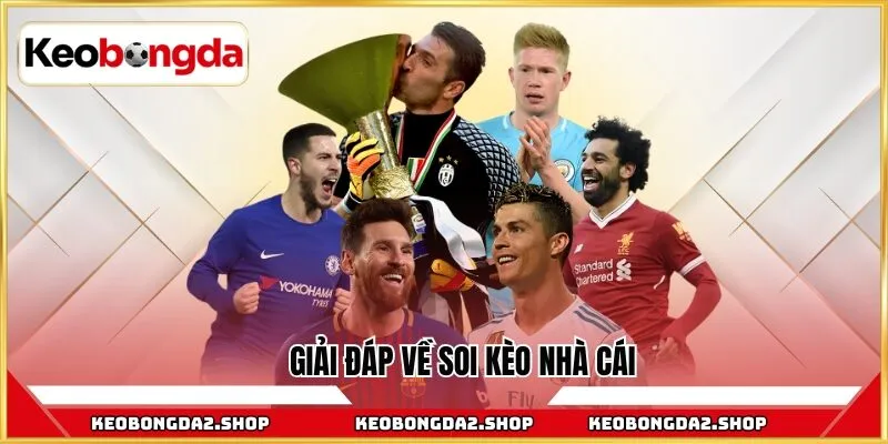 Giải đáp về soi kèo nhà cái