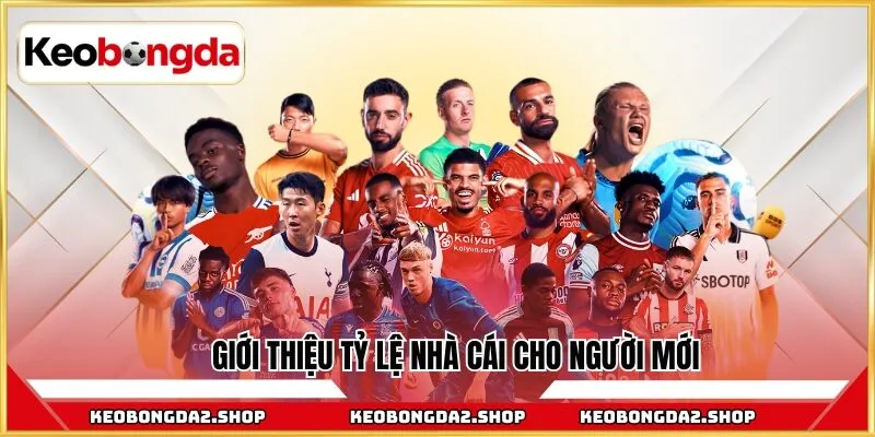 Giới thiệu tỷ lệ nhà cái cho người mới