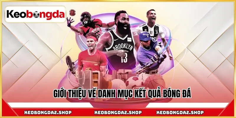 Giới thiệu về danh mục kết quả bóng đá