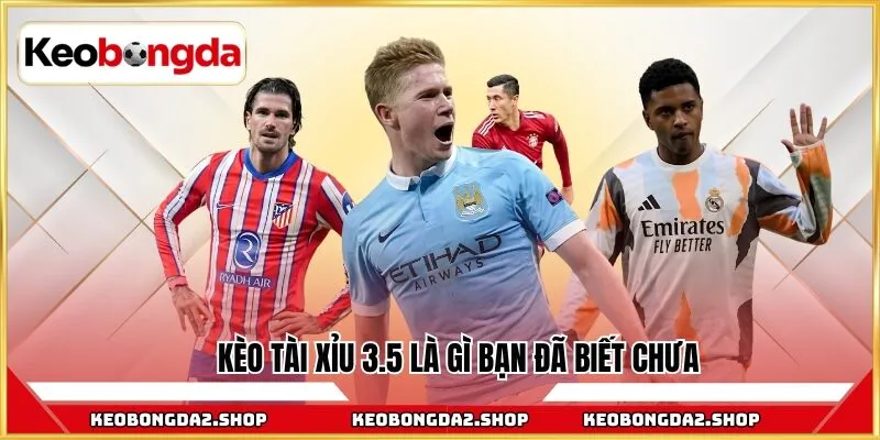 Kèo tài xỉu 3.5 là gì bạn đã biết chưa