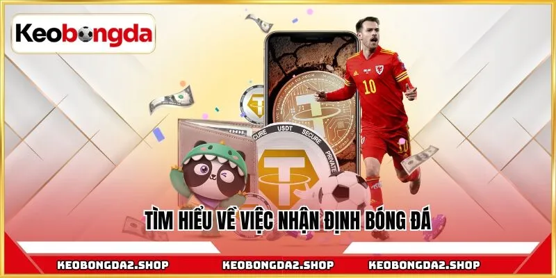 Tìm hiểu về việc nhận định bóng đá