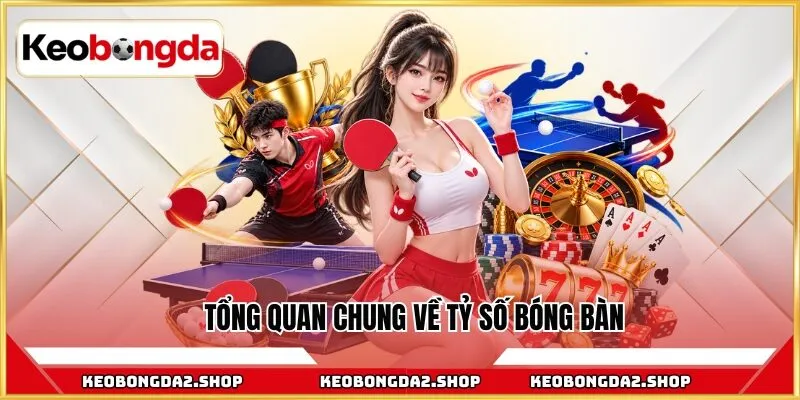 Tổng quan chung về tỷ số bóng bàn