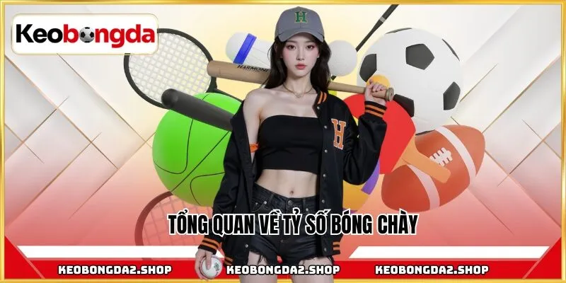 Tổng quan về tỷ số bóng chày
