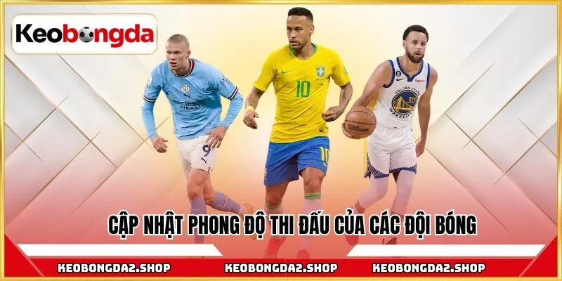 Cập nhật phong độ thi đấu của các đội bóng