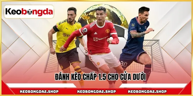 Đánh kèo chấp 1.5 cho cửa dưới