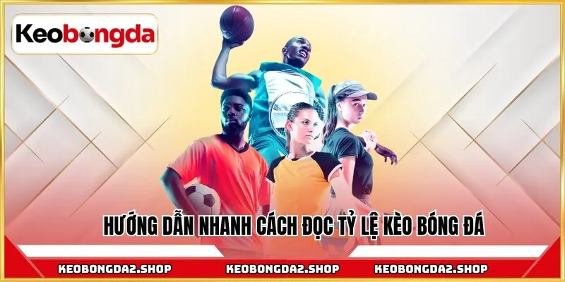 Hướng dẫn nhanh cách đọc tỷ lệ kèo bóng đá