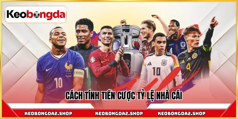 Cách tính tiền cược tỷ lệ nhà cái