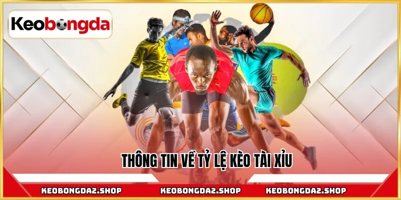 Thông tin về tỷ lệ kèo Tài Xỉu 