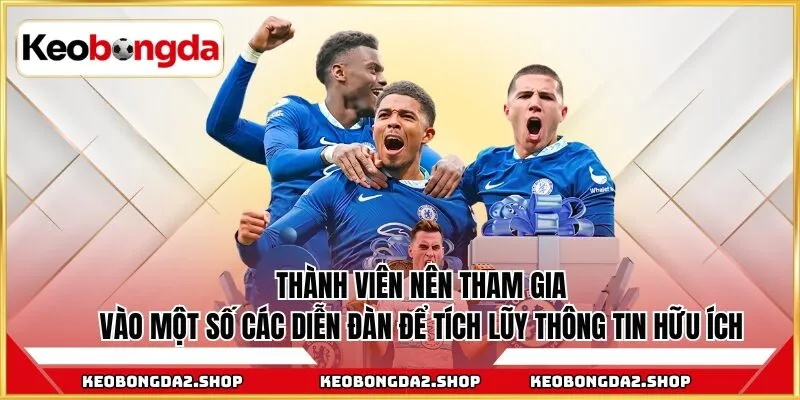 Thành viên nên tham gia vào một số các diễn đàn để tích lũy thông tin hữu ích