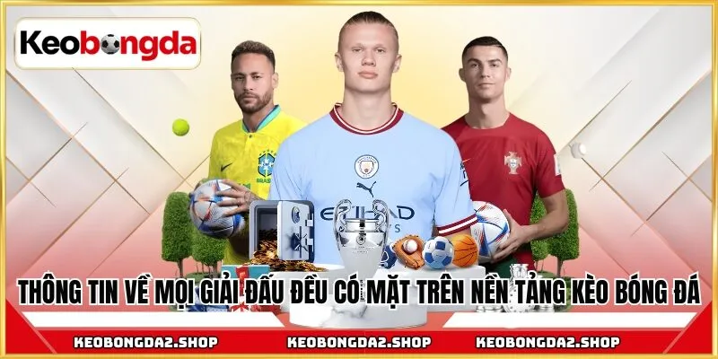 Thông tin về mọi giải đấu đều có mặt trên nền tảng Kèo Bóng Đá